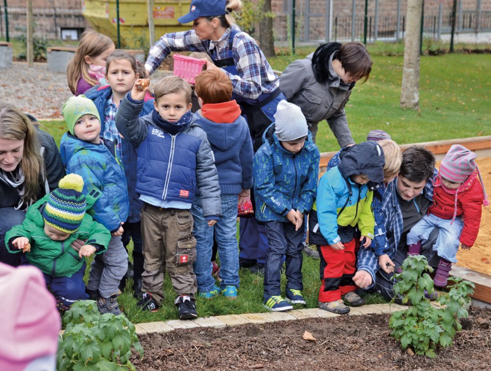 Beim Tulpenzwiebelpflanzen