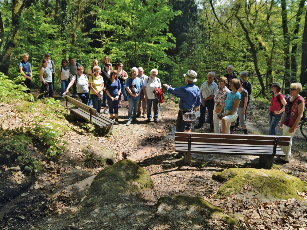 webkahlenbergbrinnche3