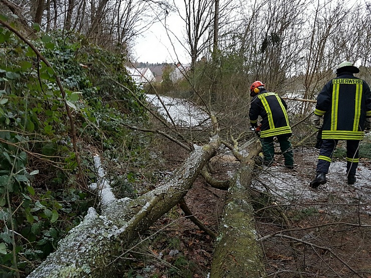 12_20170113_091453_resizedresize